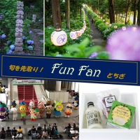 栃木県民の日記念イベント、アジサイスポット、那須高原の恵み晩酌セットをご紹介！