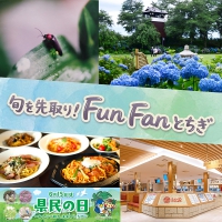 6月のとちぎはワクワク満載！県民の日イベント、紫陽花やホタルの鑑賞、奥日光の自然マルシェへ行ってみませんか。新しくなった佐野SAやみぶハイウェイパークに立ち寄れば、ドライブがもっと楽しくなりますよ。