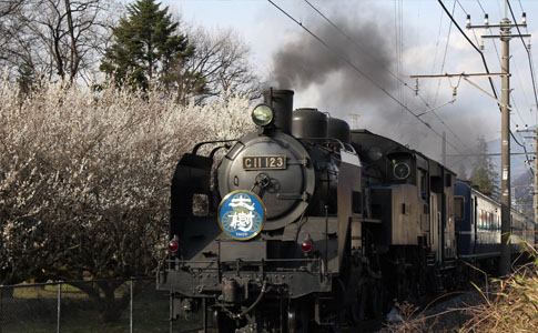 東武鉄道 SL大樹