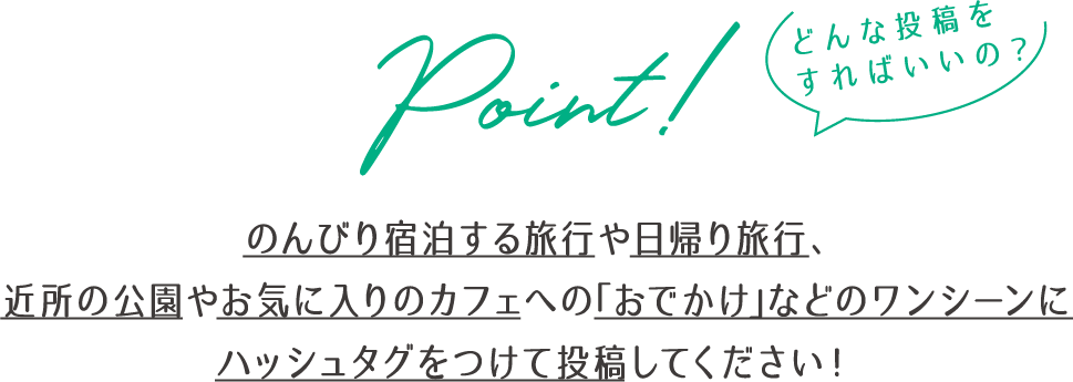 どんな投稿をすればいいの？