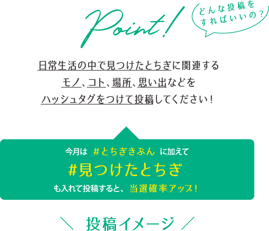 投稿イメージ