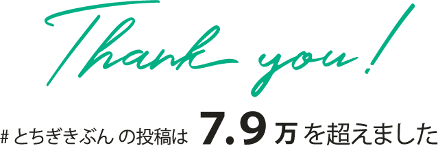 #とちぎきぶんの投稿は7.7万を超えました