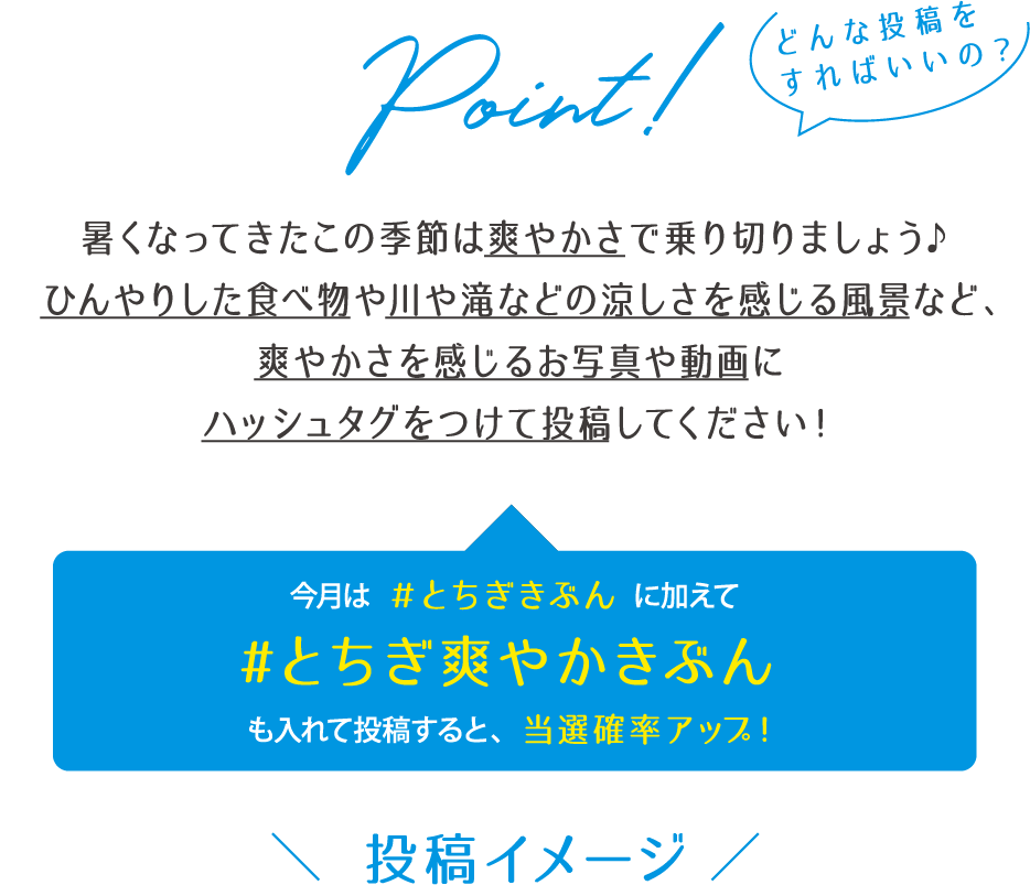 投稿イメージ