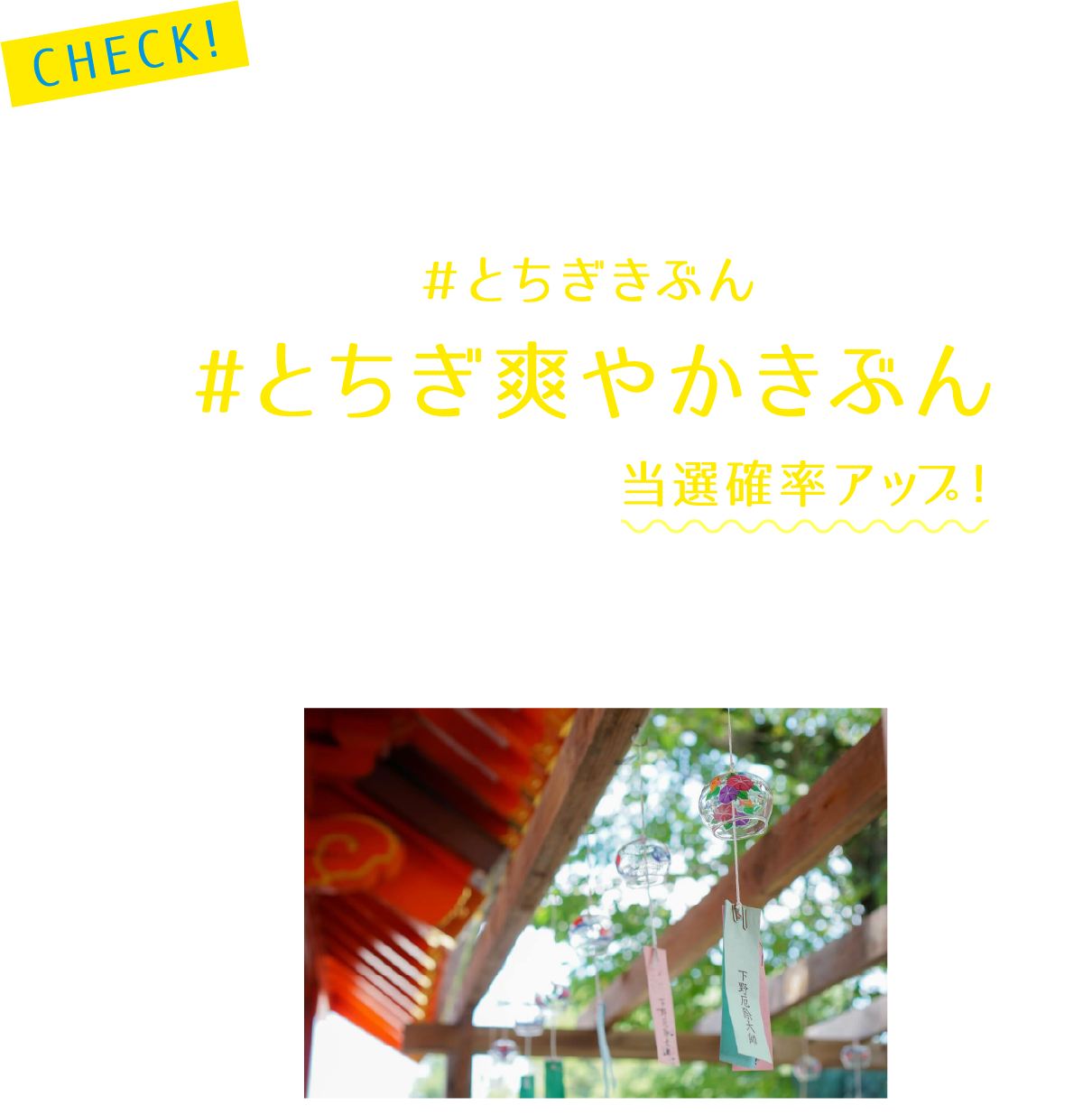 7月のテーマは「とちぎ爽やかきぶん」