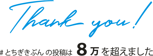 #とちぎきぶんの投稿は7.7万を超えました