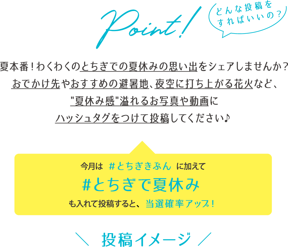 投稿イメージ