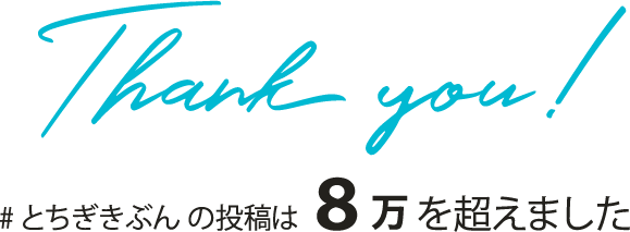 #とちぎきぶんの投稿は8万を超えました