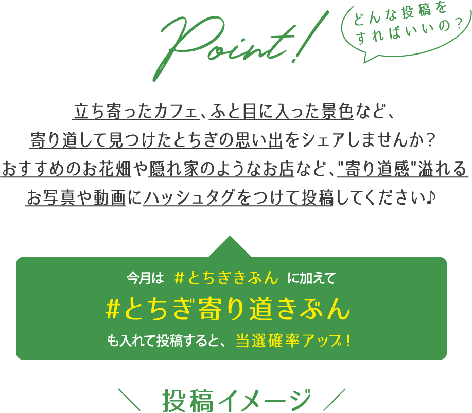 投稿イメージ
