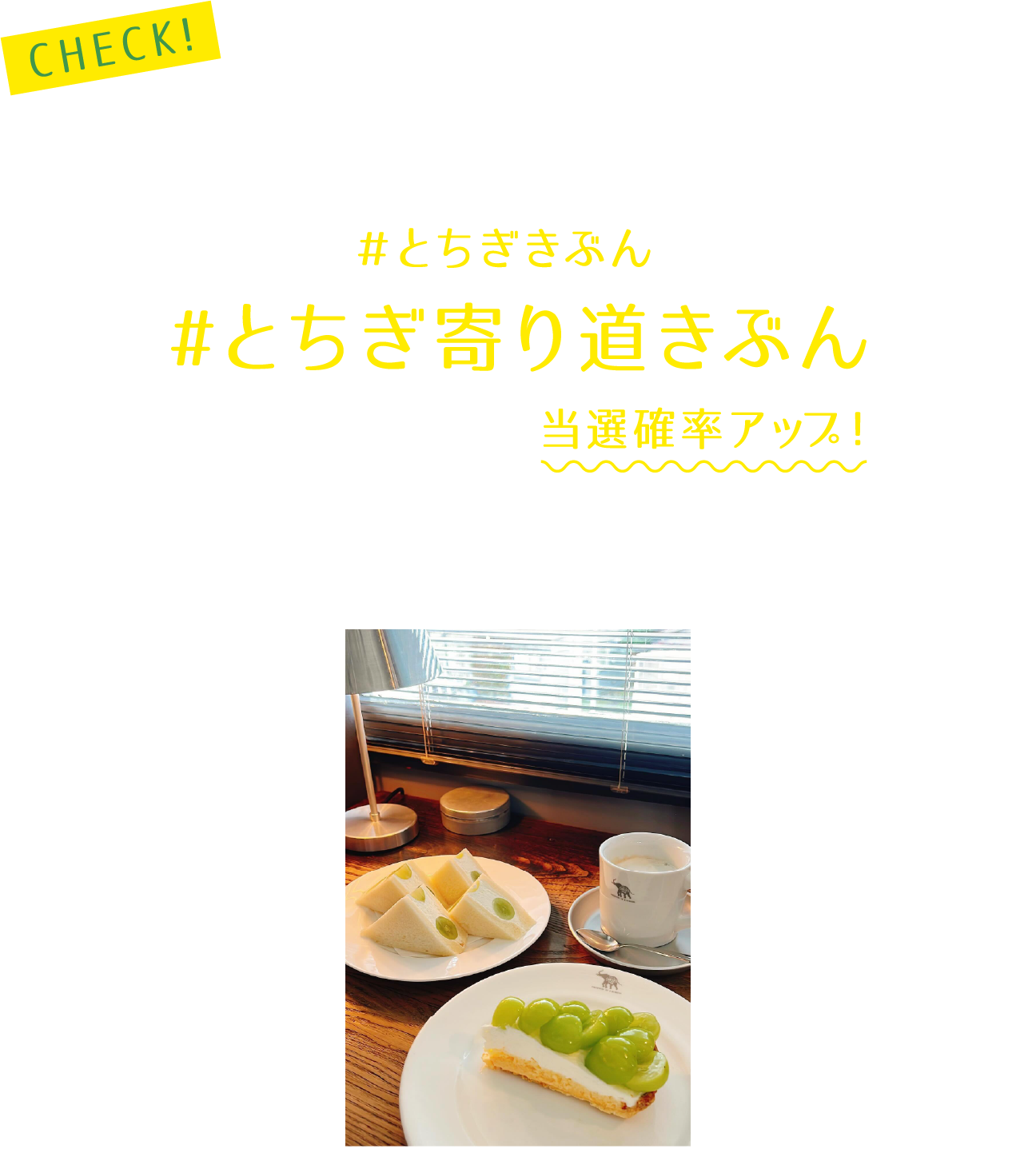 7月のテーマは「とちぎ爽やかきぶん」