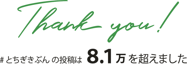 #とちぎきぶんの投稿は8.1万を超えました