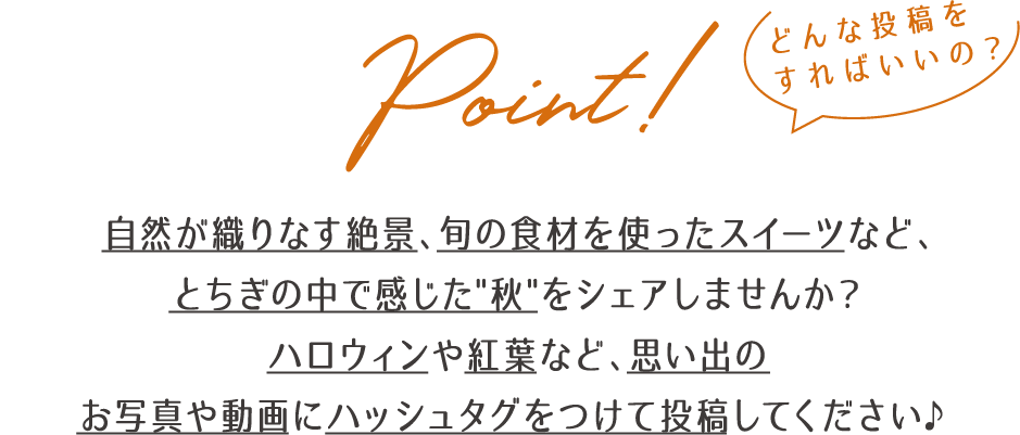 どんな投稿をすればいいの？
