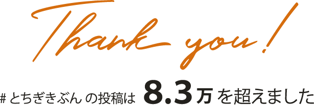 #とちぎきぶんの投稿は8.3 万を超えました