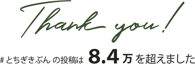 #とちぎきぶんの投稿は8.3 万を超えました