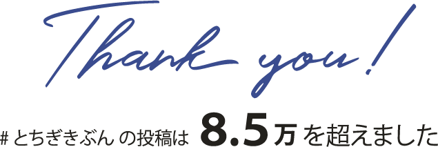 #とちぎきぶんの投稿は8.3 万を超えました