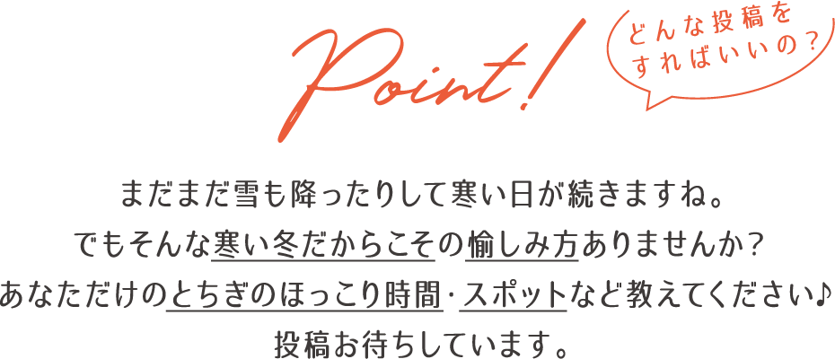 どんな投稿をすればいいの？