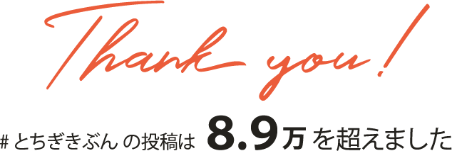 #とちぎきぶんの投稿は8.7 万を超えました