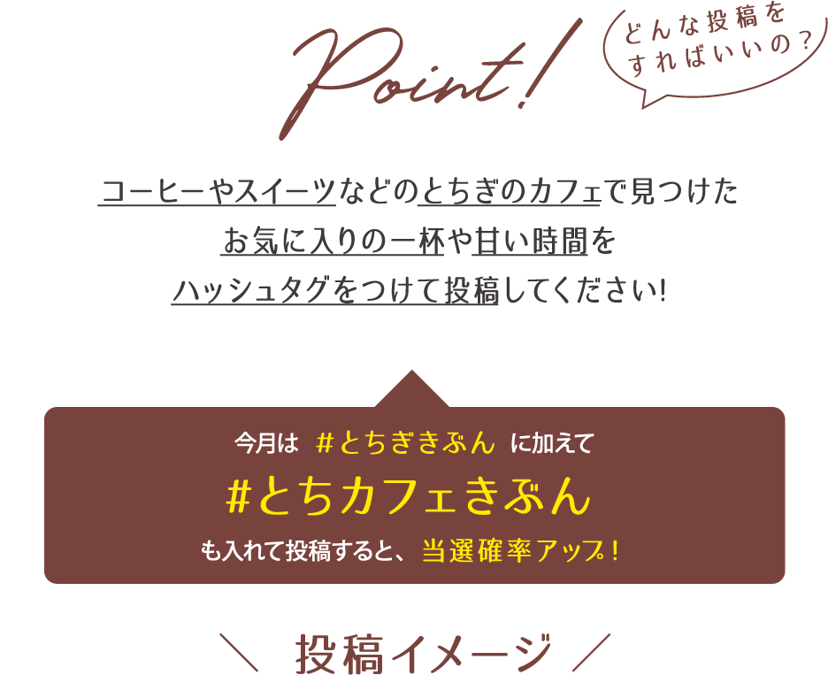 投稿イメージ