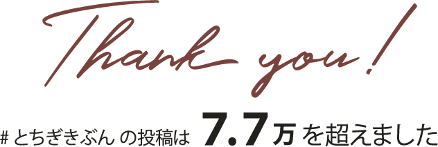 #とちぎきぶんの投稿は7.7万を超えました