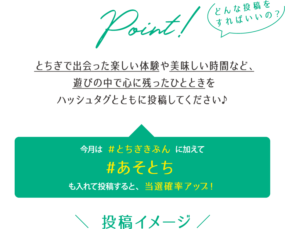 投稿イメージ