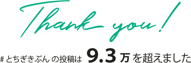 #とちぎきぶんの投稿は8.7 万を超えました