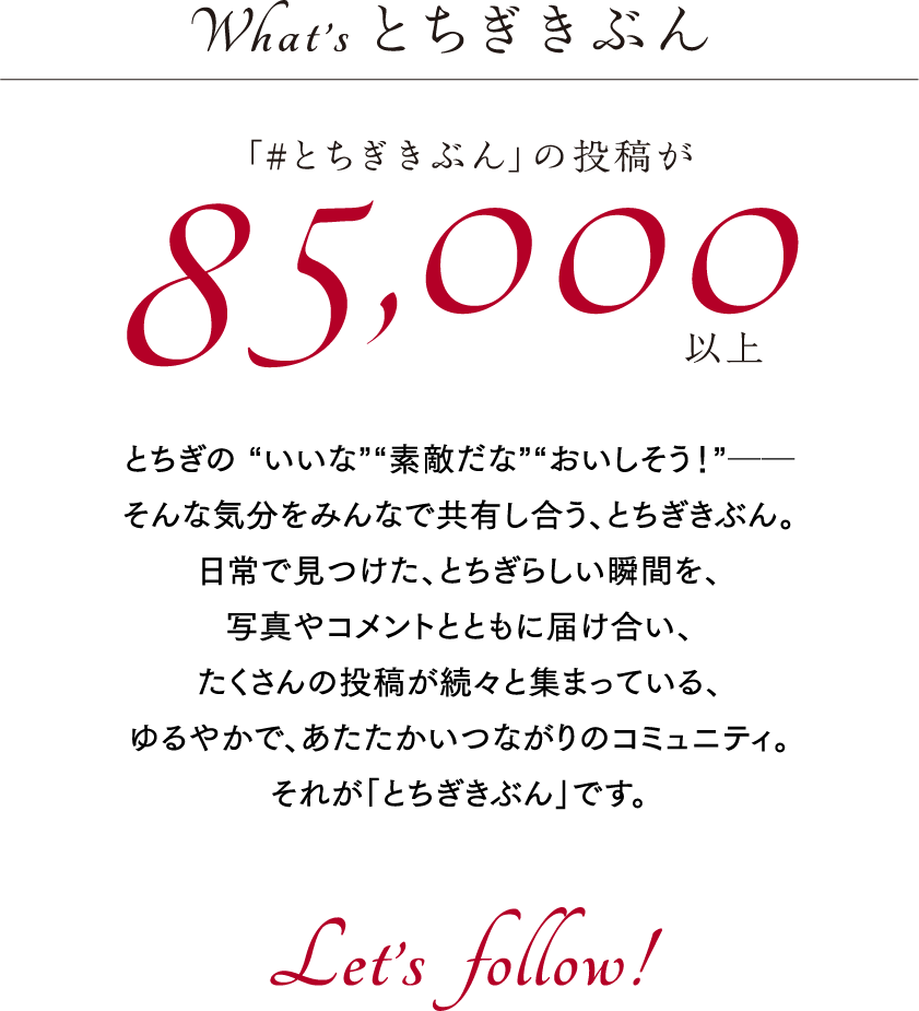 what's とちぎきぶん